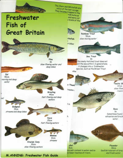Books on British Freshwater Fish, British Freshwater fishes charts and ...